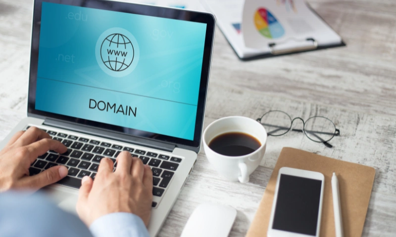 Domain Flipping का बिजनेस करके कमाएं पैसे