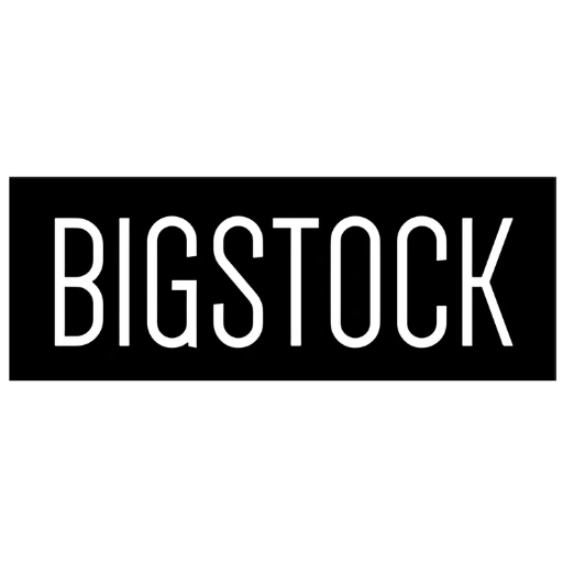  Big Stock 