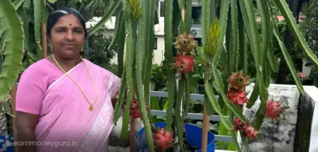 retired teacher success story